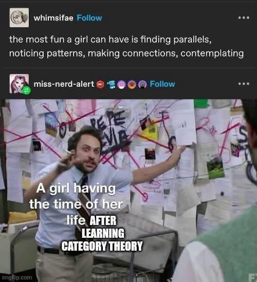 whimsifae Follow the most fun a girl can have is finding parallels, noticing patterns, making connections, contemplating Imgflip.com miss-nerd-alert A girl having the time of her life AFTER LEARNING CATEGORY THEORY Follow