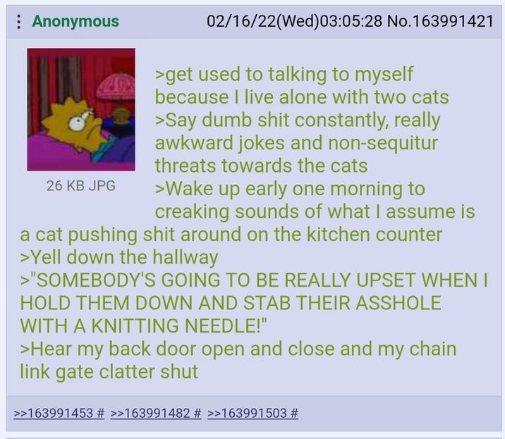 : Anonymous 26 KB JPG 02/16/22(Wed)03:05:28 No.163991421 >get used to talking to myself because I live alone with two cats >Say dumb s--- constantly, really awkward jokes and non-sequitur threats towards the cats >Wake up early one morning to creaking sounds of what I assume is a cat pushing s--- around on the kitchen counter >Yell down the hallway >"SOMEBODY'S GOING TO BE REALLY UPSET WHEN I HOLD THEM DOWN AND STAB THEIR A------ WITH A KNITTING NEEDLE!" >Hear my back door open and close and my chain link gate clatter shut >>163991453 # >>163991482 # >>163991503 #