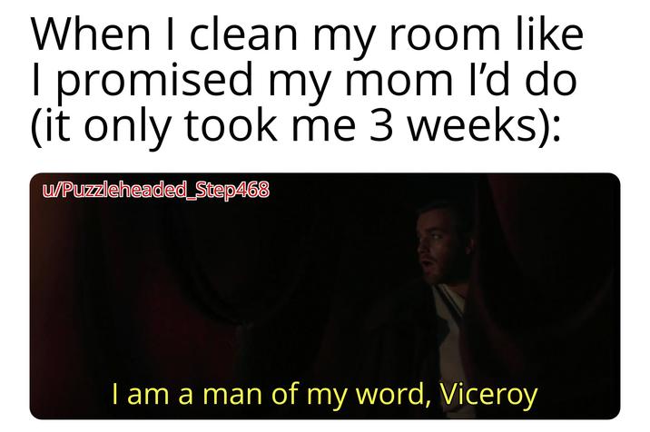 When I clean my room like I promised my mom I'd do (it only took me 3 weeks): w/Puzzleheaded_Step468 I am a man of my word, Viceroy