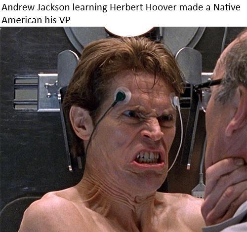 Andrew Jackson learning Herbert Hoover made a Native American his VP