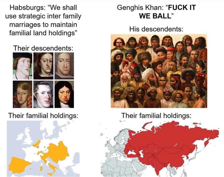 Habsburgs: "We shall use strategic inter family marriages to maintain familial land holdings" Their descendents: Genghis Khan: "F--- IT WE BALL" His descendents: Their familial holdings: Their familial holdings: