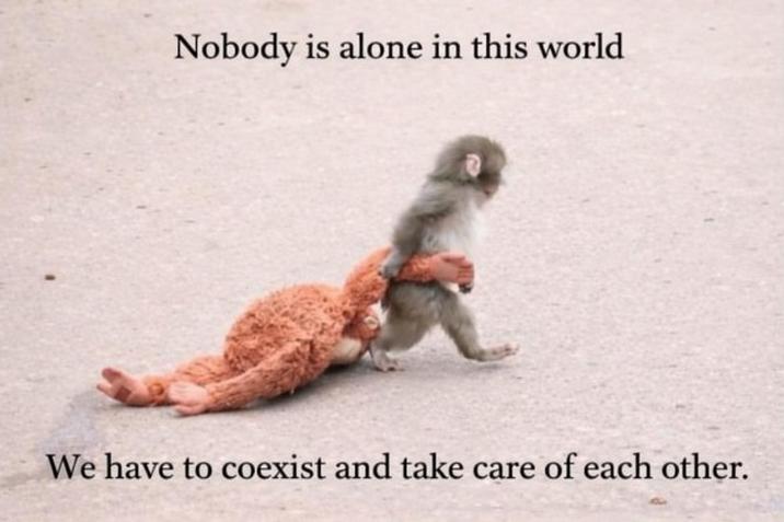 Nobody is alone in this world We have to coexist and take care of each other.