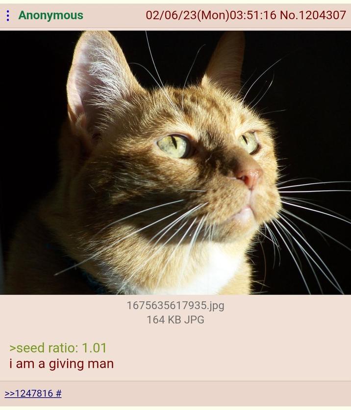 Anonymous 02/06/23(Mon)03:51:16 No.1204307 >seed ratio: 1.01 i am a giving man >>1247816 # 1675635617935.jpg 164 KB JPG