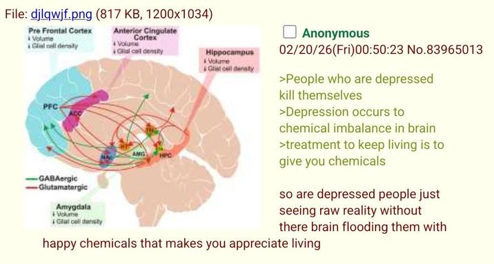 File: djlqwjf.png (817 KB, 1200x1034) Pre Frontal Cortex Volume Galalt density PFC -GABAergic -Glutamatergic Amygdala Volume Glial cell density Anterior Cingulate Cortex Volume Glial cell density ANG HIPC Hippocampus Volume Glial cell density Anonymous 02/20/26(Fri)00:50:23 No.83965013 >People who are depressed kill themselves >Depression occurs to chemical imbalance in brain >treatment to keep living is to give you chemicals so are depressed people just seeing raw reality without there brain flooding them with happy chemicals that makes you appreciate living