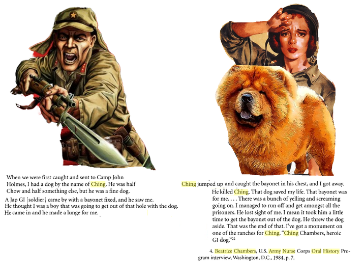 When we were first caught and sent to Camp John Holmes, I had a dog by the name of Ching. He was half Chow and half something else, but he was a fine dog. A J-- GI [soldier] came by with a bayonet fixed, and he saw me. He thought I was a boy that was going to get out of that hole with the dog. He came in and he made a lunge for me. Ching jumped up and caught the bayonet in his chest, and I got away. He killed Ching. That dog saved my life. That bayonet was for me.... There was a bunch of yelling and screaming going on. I managed to run off and get amongst all the prisoners. He lost sight of me. I mean it took him a little time to get the bayonet out of the dog. He threw the dog aside. That was the end of that. I've got a monument on one of the ranches for Ching. “Ching Chambers, heroic GI dog."22 4. Beatrice Chambers, U.S. Army Nurse Corps Oral History Pro- gram interview, Washington, D.C., 1984, p. 7.