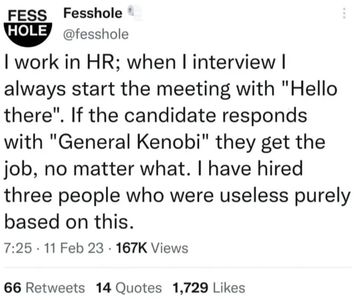 FESS Fesshole HOLE @fesshole I work in HR; when I interview I always start the meeting with "Hello there". If the candidate responds with "General Kenobi" they get the job, no matter what. I have hired three people who were useless purely based on this. 7:25 11 Feb 23. 167K Views 66 Retweets 14 Quotes 1,729 Likes