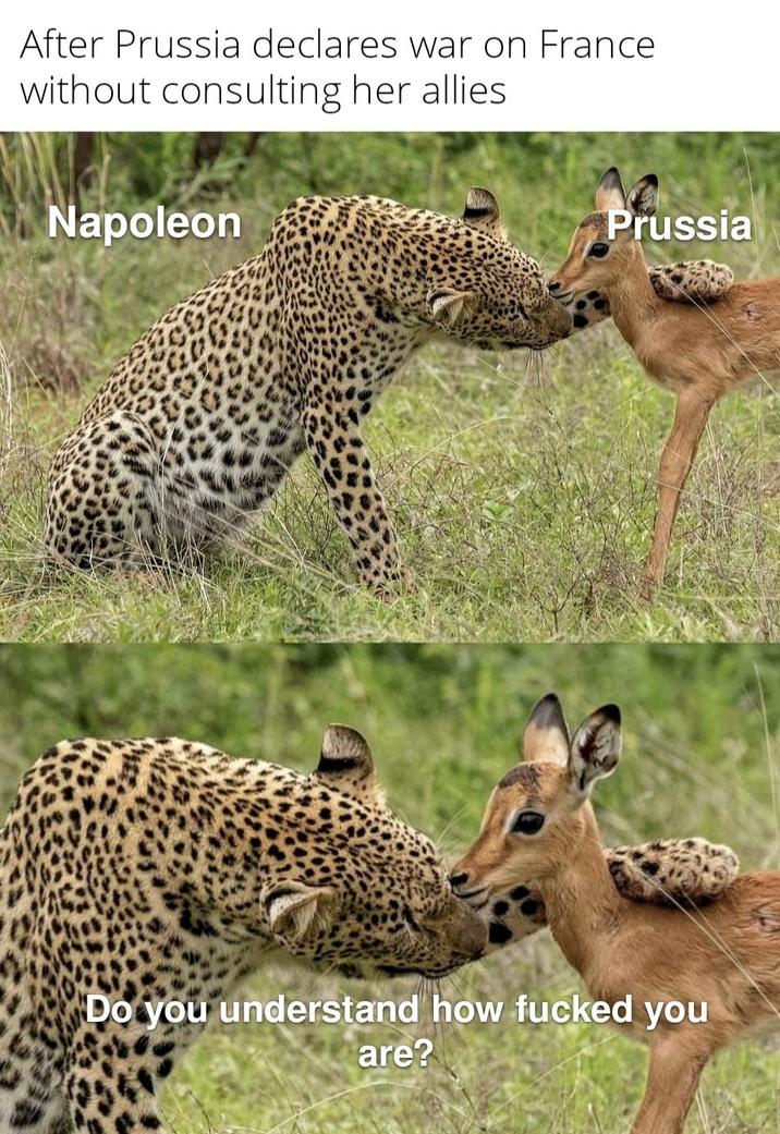 After Prussia declares war on France without consulting her allies. Napoleon Prussia Do you understand how f----- you are?