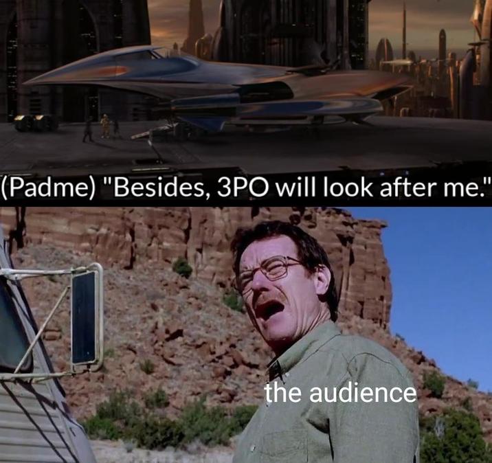 (Padme) "Besides, 3PO will look after me." the audience