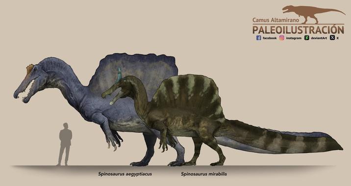 Spinosaurus aegyptiacus Spinosaurus mirabilis Camus Altamirano PALEOILUSTRACIÓN facebook instagram deviantArt XX