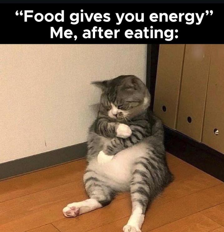 "Food gives you energy" Me, after eating: