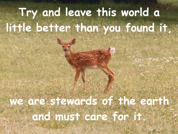 Try and leave this world a little better than you found it, we are stewards of the earth and must care for it.