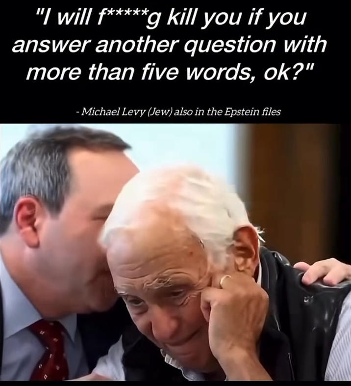 "I will f*****g kill you if you answer another question with more than five words, ok?" - Michael Levy (Jew) also in the Epstein files
