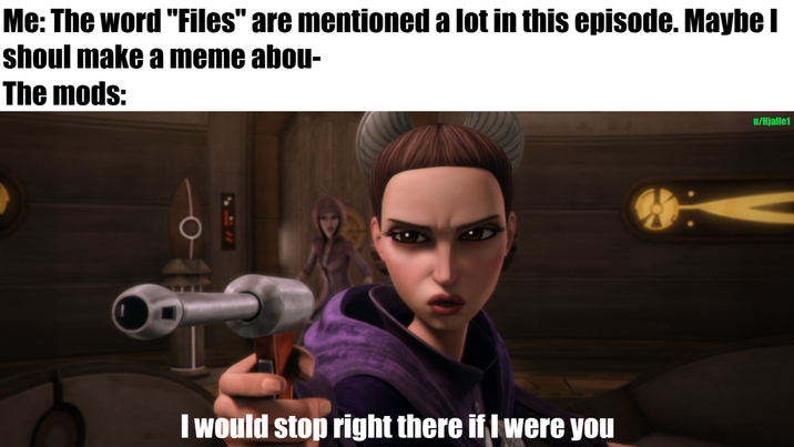Me: The word "Files" are mentioned a lot in this episode. Maybe I shoul make a meme abou- The mods: I would stop right there if I were you u/Hjalle1
