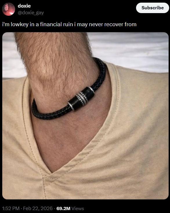 doxie @doxie_gay i'm lowkey in a financial ruin i may never recover from 1:52 PM - Feb 22, 2026 69.2M Views Subscribe