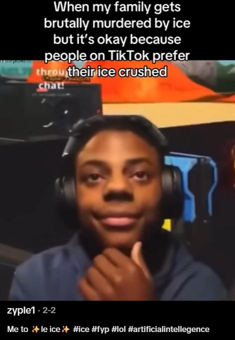 A screenshot of a TikTok about ICE. 