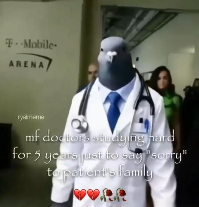 A meme using an AI pigeon doctor video. It reads, "mf doctors styding hard for years just to say 'sorry' to a patient's family."