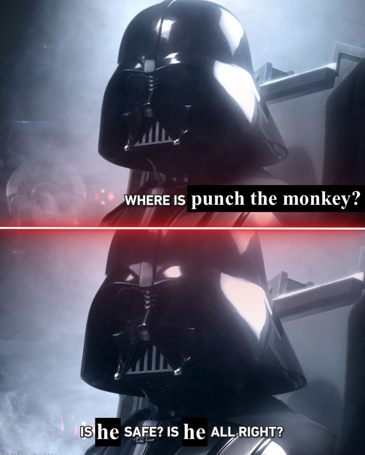 WHERE IS punch the monkey? She SAFE? IS he ALL RIGHT?