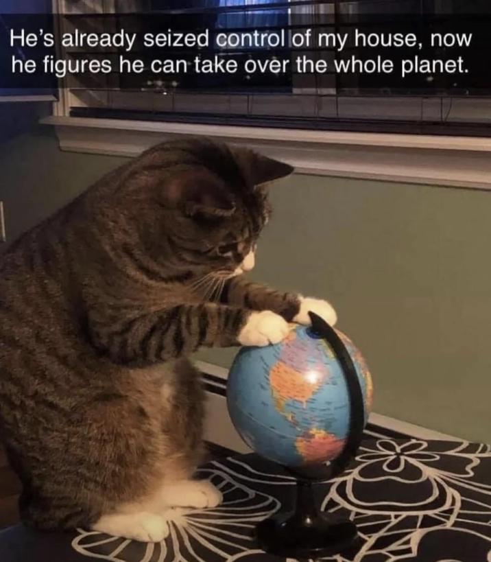 He's already seized control of my house, now he figures he can take over the whole planet.
