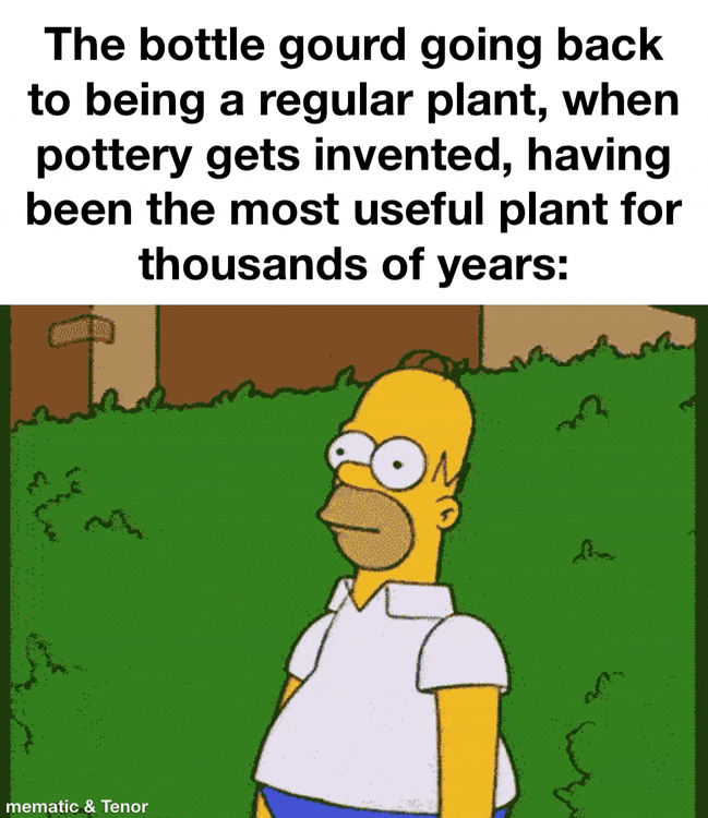The bottle gourd going back to being a regular plant, when pottery gets invented, having been the most useful plant for thousands of years: mematic & Tenor