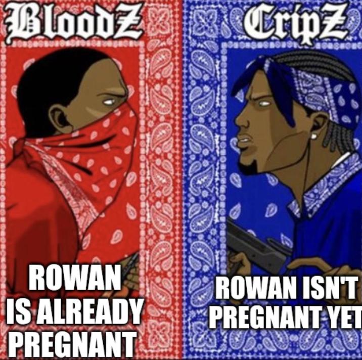 BloodZ & CripZ ROWAN IS ALREADY PREGNANT ROWAN ISN'T PREGNANT YET