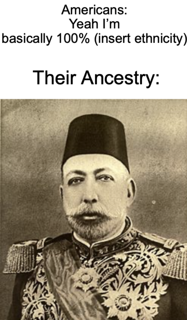 Americans: Yeah I'm basically 100% (insert ethnicity) Their Ancestry: