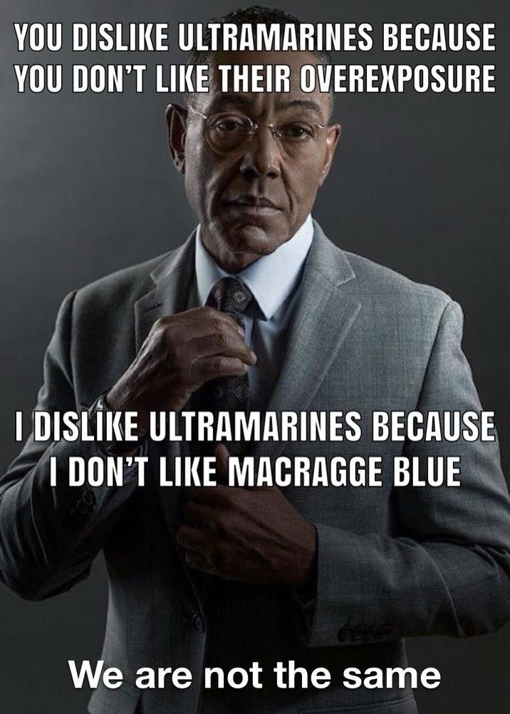 YOU DISLIKE ULTRAMARINES BECAUSE YOU DON'T LIKE THEIR OVEREXPOSURE I DISLIKE ULTRAMARINES BECAUSE I DON'T LIKE MACRAGGE BLUE We are not the same