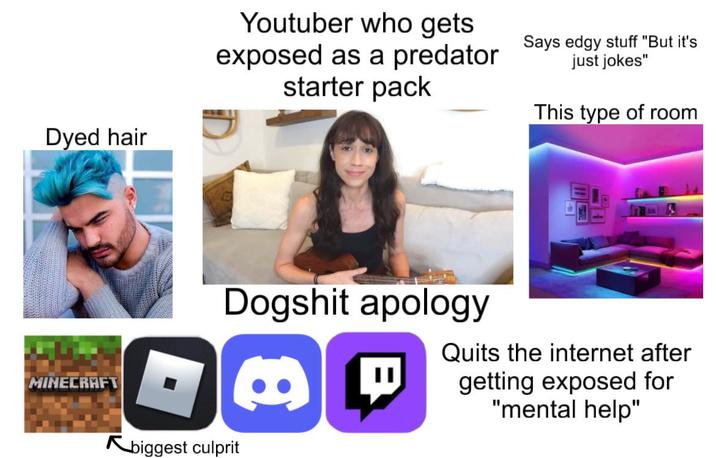 Dyed hair Youtuber who gets exposed as a predator Says edgy stuff "But it's starter pack just jokes" This type of room MINECRAFT Dogshit apology Quits the internet after getting exposed for "mental help" biggest culprit