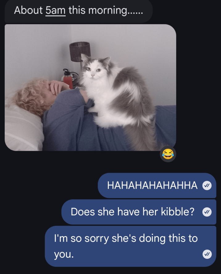 About 5am this morning....... HAHAHAHAHAHHA Does she have her kibble? I'm so sorry she's doing this to you. ✓