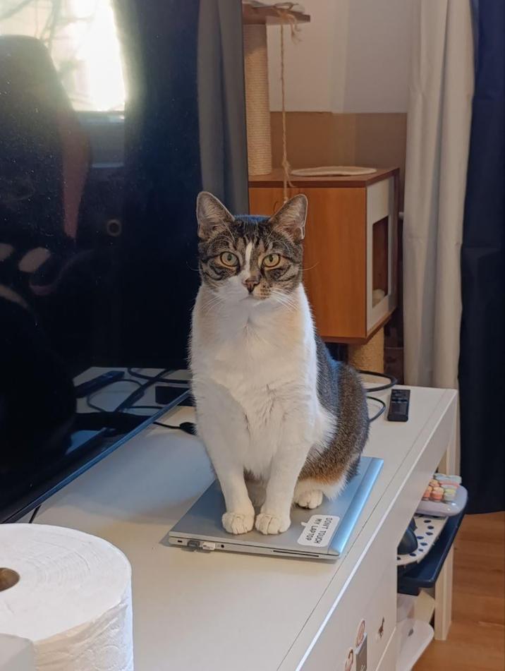 DON'T TOUCH MY LAPTOP