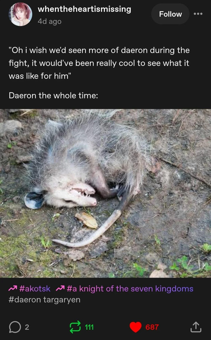 whentheheartismissing 4d ago Follow "Oh i wish we'd seen more of daeron during the fight, it would've been really cool to see what it was like for him" Daeron the whole time: #akotsk #a knight of the seven kingdoms #daeron targaryen D ○ 2 22 111 687 ↑