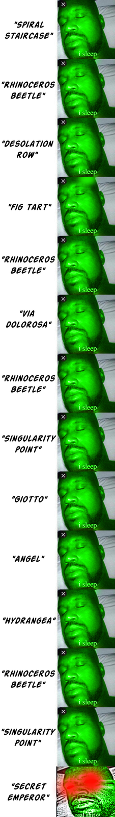 "SPIRAL STAIRCASE" "RHINOCEROS BEETLE" "DESOLATION ROW" "FIG TART" "RHINOCEROS BEETLE" "VIA DOLOROSA" "RHINOCEROS BEETLE" "SINGULARITY POINT" "GIOTTO" "ANGEL" X × X i sleep i sleep × i sleep × × X × i sleep i sleep i sleep i sleep i sleep i sleep i sleep "HYDRANGEA" i sleep "RHINOCEROS BEETLE" "SINGULARITY POINT" i sleep i sleep "SECRET EMPEROR" real s---