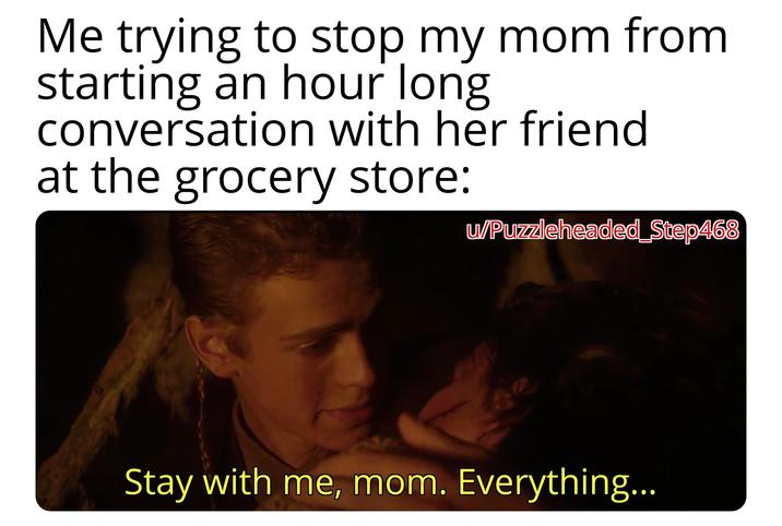 Me trying to stop my mom from starting an hour long conversation with her friend at the grocery store: u/Puzzleheaded Step468 Stay with me, mom. Everything...