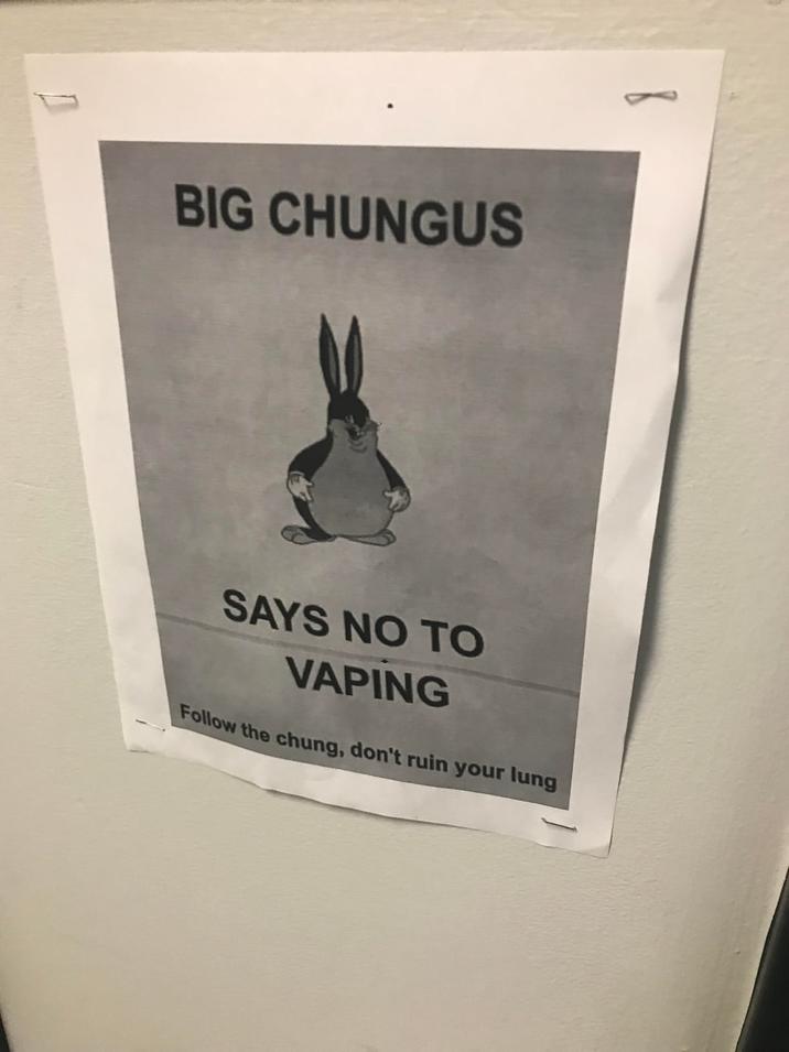 BIG CHUNGUS SAYS NO TO VAPING Follow the chung, don't ruin your lung