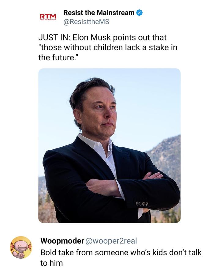 RTM Resist the Mainstream Resist the Mainstream @ResisttheMS JUST IN: Elon Musk points out that "those without children lack a stake in the future." 0000 Woopmoder@wooper2real Bold take from someone who's kids don't talk to him