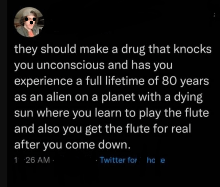 they should make a drug that knocks you unconscious and has you experience a full lifetime of 80 years as an alien on a planet with a dying sun where you learn to play the flute and also you get the flute for real after you come down. 126 AM Twitter for ho e