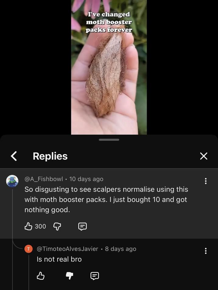 I've changed moth booster packs forever < Replies ☑ ... @A_Fishbowl 10 days ago So disgusting to see scalpers normalise using this with moth booster packs. I just bought 10 and got nothing good. В 300 д T @TimoteoAlves Javier • 8 days ago Is not real bro в