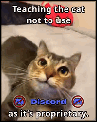 Teaching the cat not to use Discord as it's proprietary.