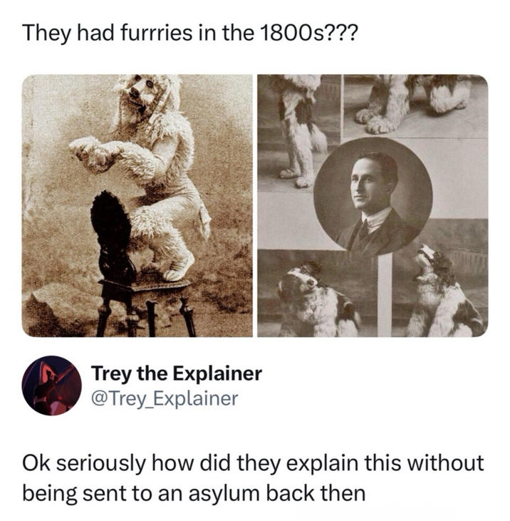 They had furrries in the 1800s??? Trey the Explainer @Trey_Explainer Ok seriously how did they explain this without being sent to an asylum back then