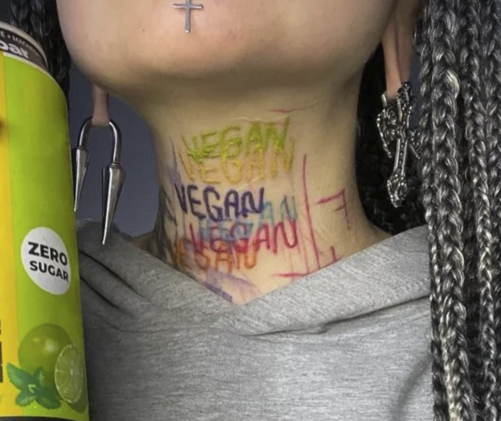 EMIC ZERO SUGAR T NESAN VEGAN VEGAN