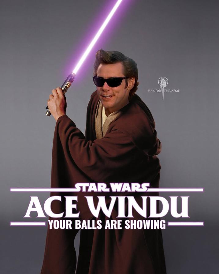 HAND OF THE MEME STAR WARS ACE WINDU YOUR BALLS ARE SHOWING