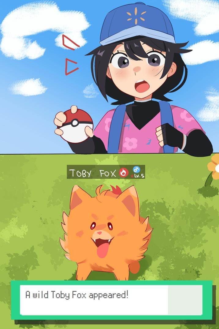 тову FOX о Lv.5 A wild Toby Fox appeared!