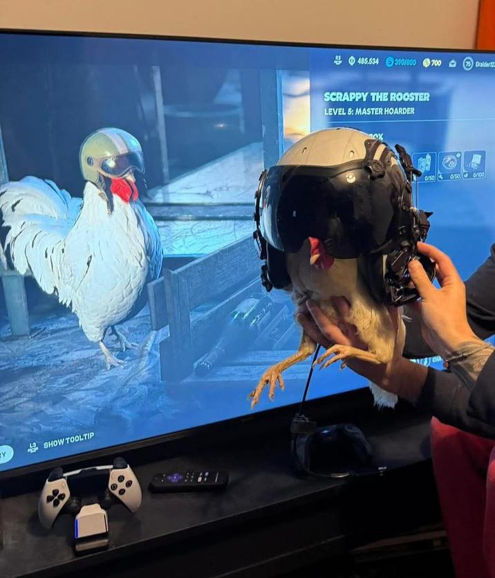 485.534 390/800 700 75 Draider12 SCRAPPY THE ROOSTER LEVEL 5: MASTER HOARDER 0/500/500/100 CHA Y SHOW TOOLTIP