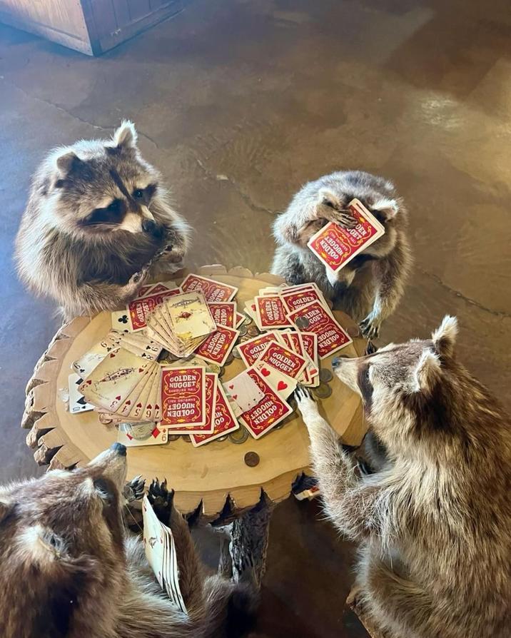 DEN GET GOLDEN GOLDEN LDEN GOLDEN GOLDEN NUGGET GOLDEN NUGGET GAMBLINE HALL GOLDE NUGGET GOLDEN NUGGET GOLDEN