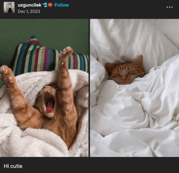 uzguncilek Dec 1, 2023 Hi cutie Follow