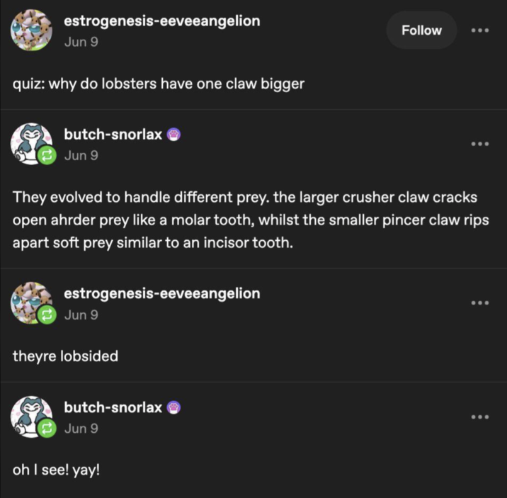 estrogenesis-eeveeangelion Jun 9 quiz: why do lobsters have one claw bigger butch-snorlax Jun 9 Follow They evolved to handle different prey. the larger crusher claw cracks open ahrder prey like a molar tooth, whilst the smaller pincer claw rips apart soft prey similar to an incisor tooth. estrogenesis-eeveeangelion Jun 9 theyre lobsided butch-snorlax Jun 9 oh I see! yay!