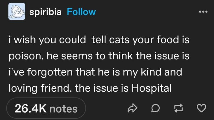 spiribia Follow i wish you could tell cats your food is poison. he seems to think the issue is i've forgotten that he is my kind and loving friend. the issue is Hospital 26.4K notes D