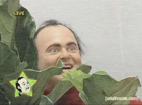 LIVE [adultswim.com]