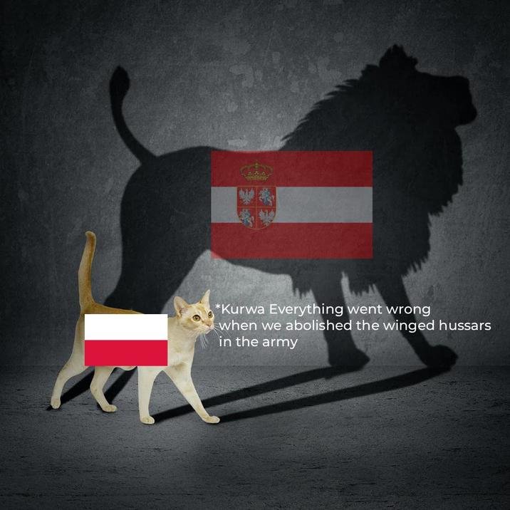 *Kurwa Everything went wrong when we abolished the winged hussars in the army