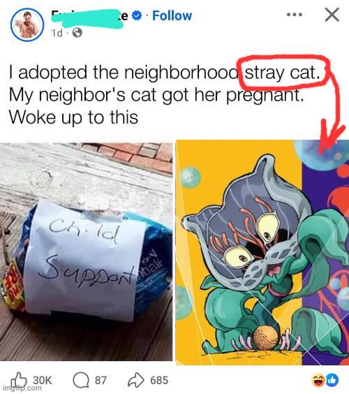 1d te. Follow I adopted the neighborhood stray cat. My neighbor's cat got her pregnant. Woke up to this Child Support 30K imgmp.com 70 tial 87 685