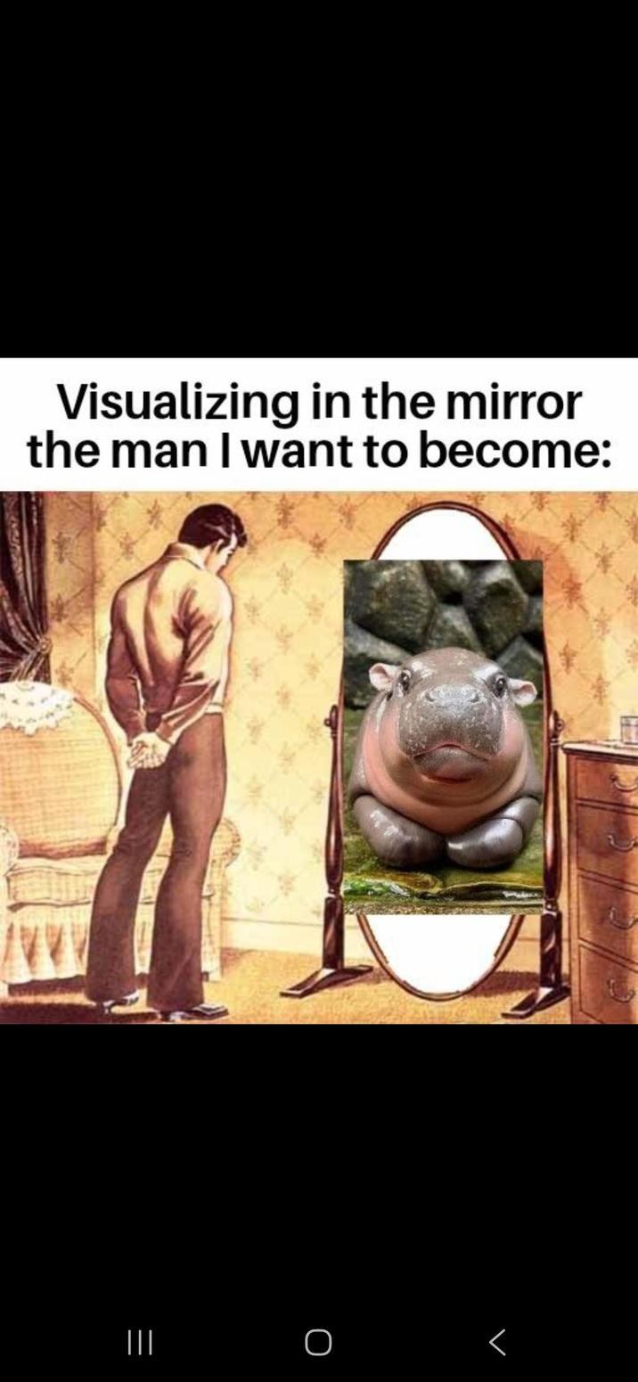 ||| Visualizing in the mirror the man I want to become: Г